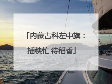 内蒙古科左中旗：插秧忙 待稻香